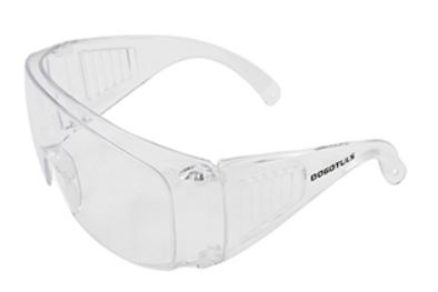 Lente de Seguridad Transparente Dogotuls