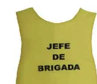 CASACA AMARILLA JEFE DE BRIGADA